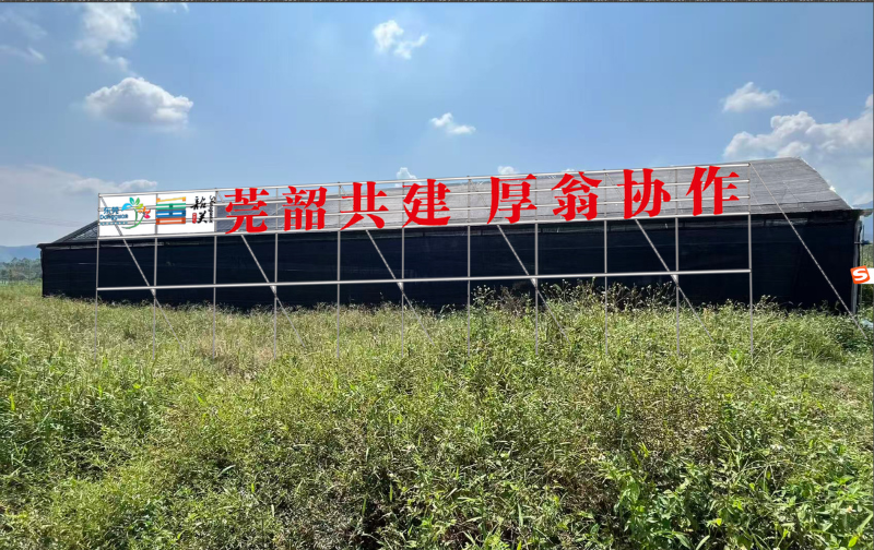 6a0eaec5e4b051578261481e.jpg