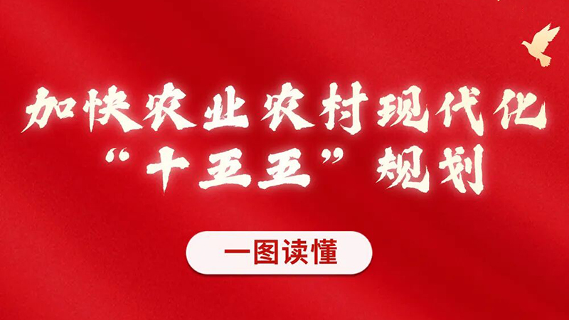 一图读懂 | 加快农业农村现代化“十五五”规划