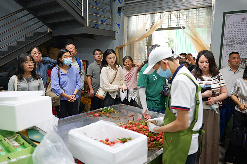 P1070684.JPG