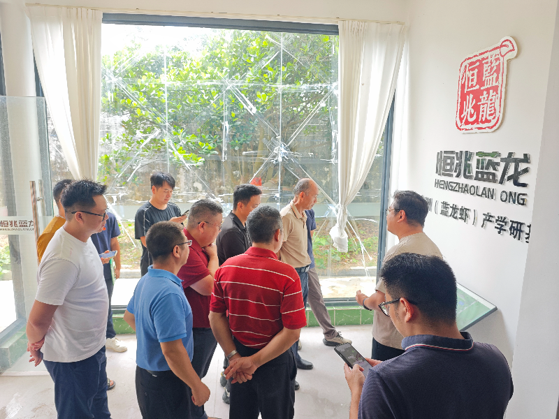 江门蓝龙调研1.jpg