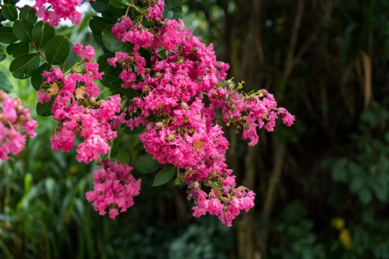 776a4d62-cf7e-41d3-9d55-38d2878fb020.jpg