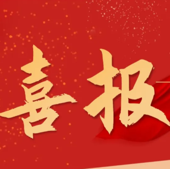 致敬先锋！局系统这些个人和集体获市“两优一先”表彰