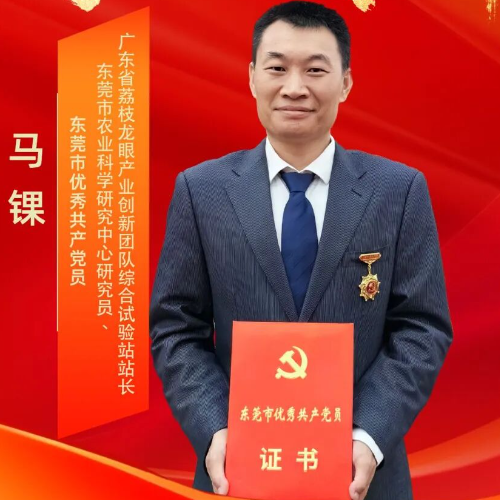 时代先锋 | 马锞：深耕莞荔十八载 科技铺就富民路