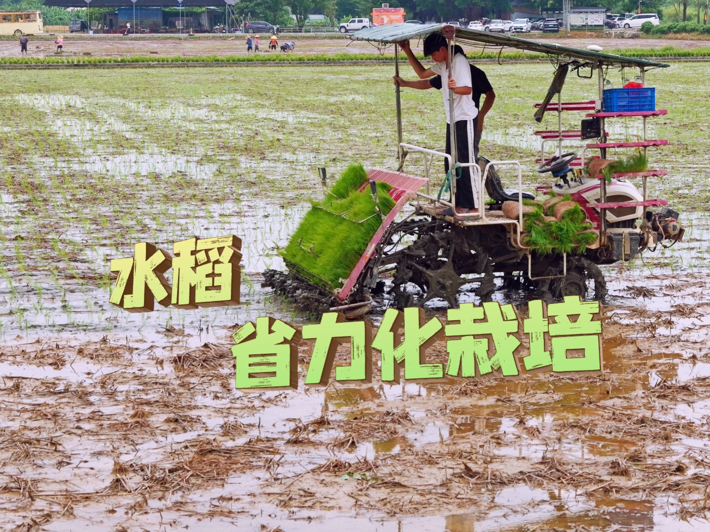 插秧不用人、开沟不用锹——千亩稻田的“省力密码”