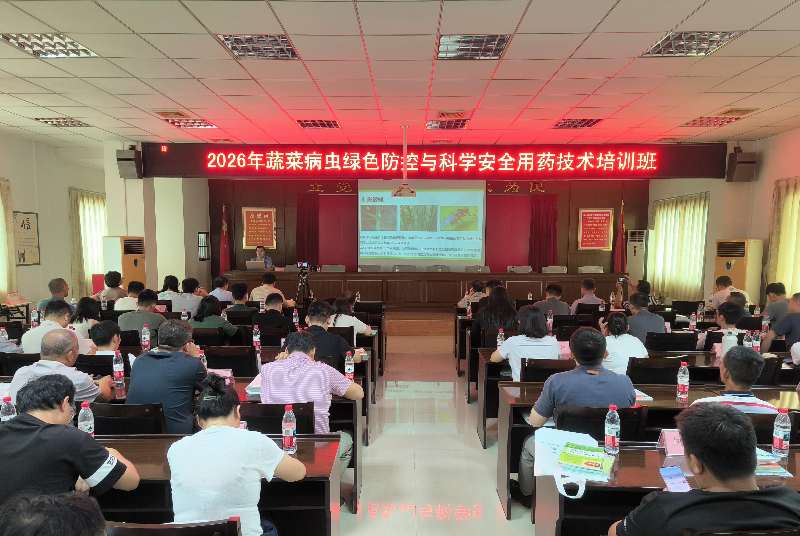 1(1)(1).jpg