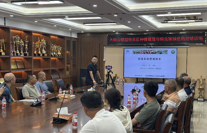 现场图片3(1).png