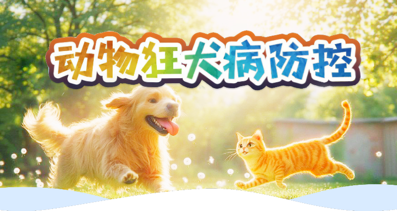 dwkqbfy_banner(1).png