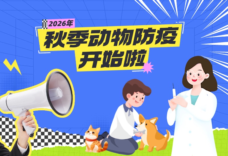 2026年全市秋季动物集中免疫信息汇总