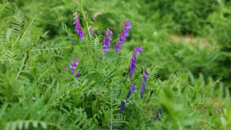 b824651b-667d-4940-b4dd-0c4971ed2250(1).png