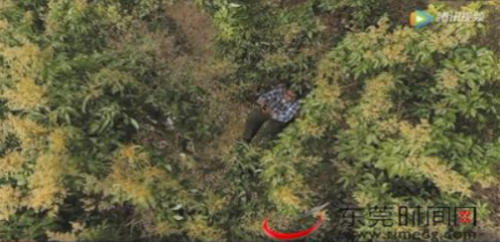已编辑图片