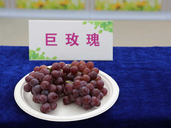 K61A8952.JPG