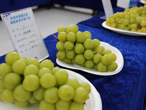 K61A8980.JPG