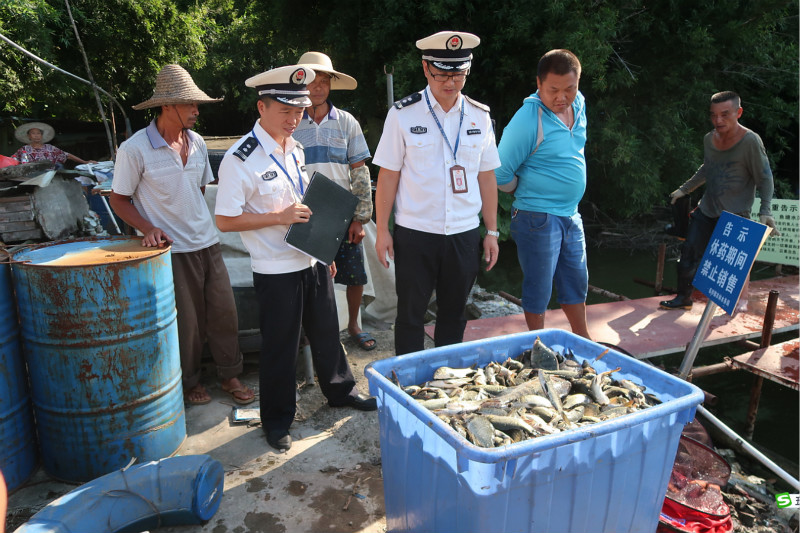 9月以来,市渔政支队石龙大队共计派出执法检查人员25人次,随机抽查6个
