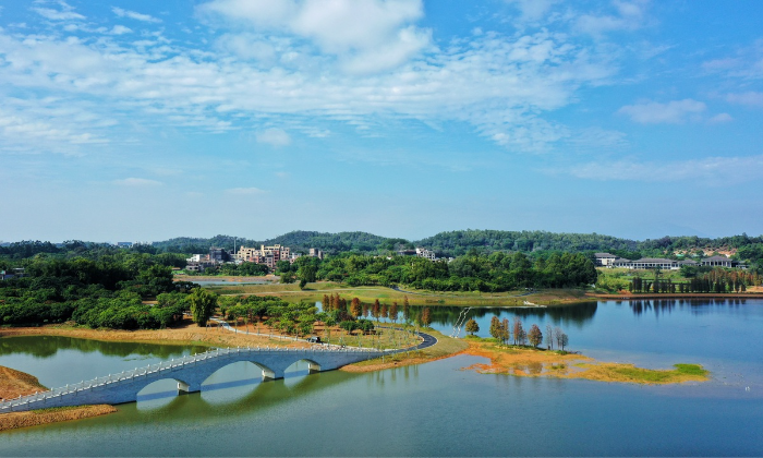 东清湖湿地公园图片图片